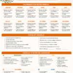 Une checklist d'entretien pour maintenir votre maison en parfait état.