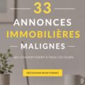 Exemple d'annonce immobilière captivante avec photo attrayante de maison.