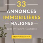 Exemple d'annonce immobilière captivante avec photo attrayante de maison.